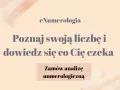 eNumerologia: Poznaj swoją liczbę i dowiedz się, co Cię czeka. Odkryj swoje liczby mistrzowskie, jak stare dusze. Zamów analizę numerologiczną.