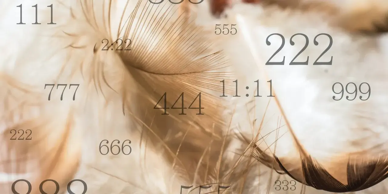 Delikatne pióra otulają anielskie liczby: 111, 222, 333, 444, 555, 666, 777, 888, 999, 11:11 i 2:22.