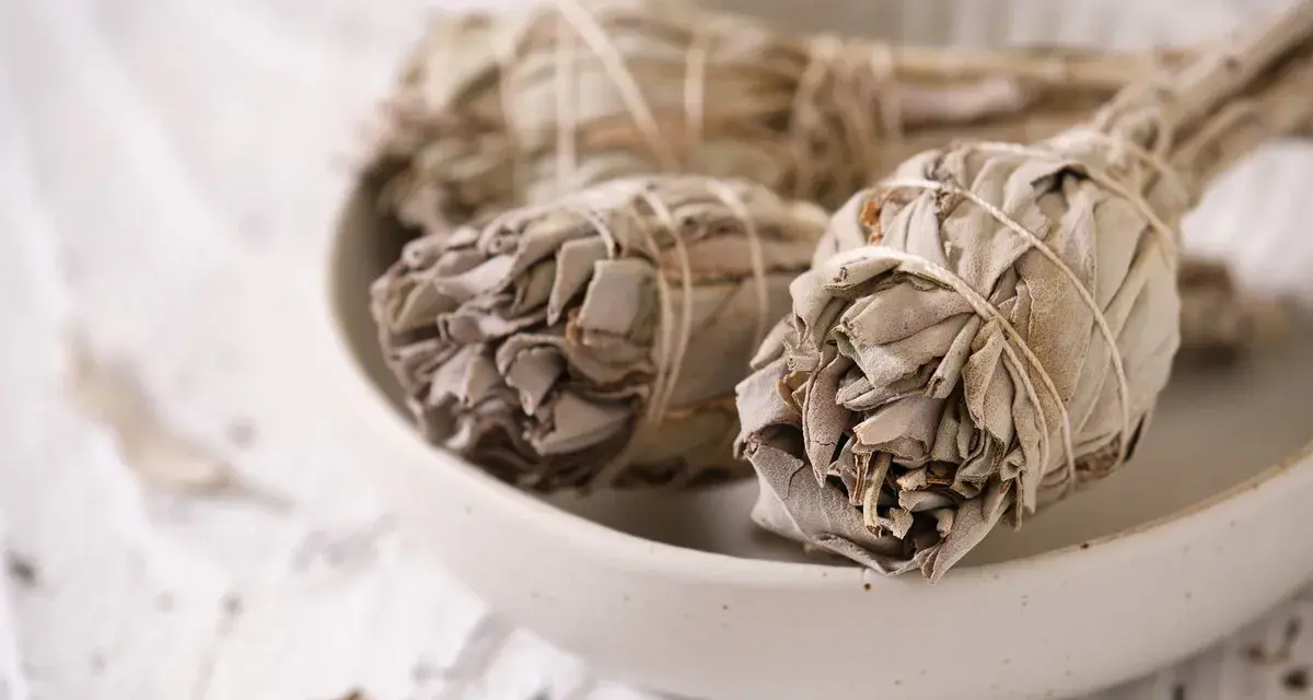 Trzy pęczki szałwii białej, związane sznurkiem, leżą w ceramicznej misie. Liście są suche, szaro-zielone, tworząc gęste, zwarte główki.
