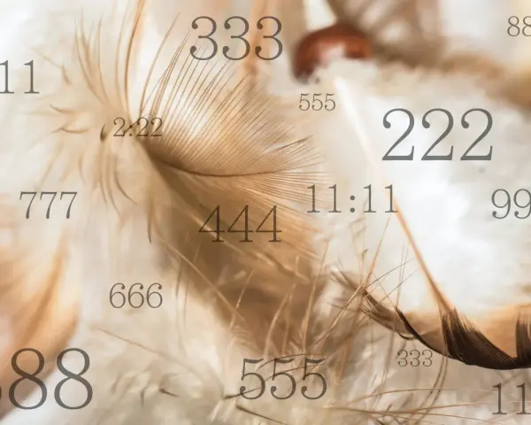 Delikatne pióra otulają anielskie liczby: 111, 222, 333, 444, 555, 666, 777, 888, 999, 11:11 i 2:22.