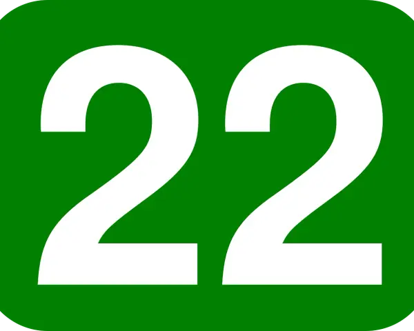 Biała liczba 22 na zielonym tle. Liczba 22 znaczenie w numerologii to harmonia, równowaga i intuicja.
