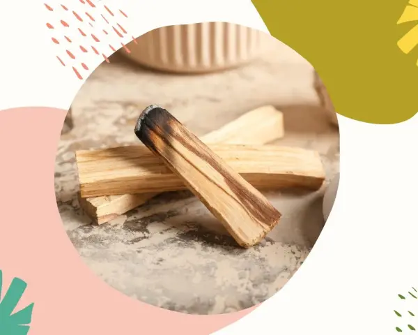 Drewno palo santo, znane z właściwości oczyszczających i relaksujących, leży na kamiennym blacie.